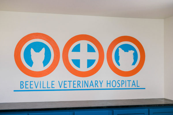 Beeville Vet Hospital-15