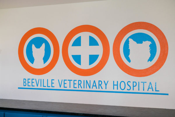 Beeville Vet Hospital-41