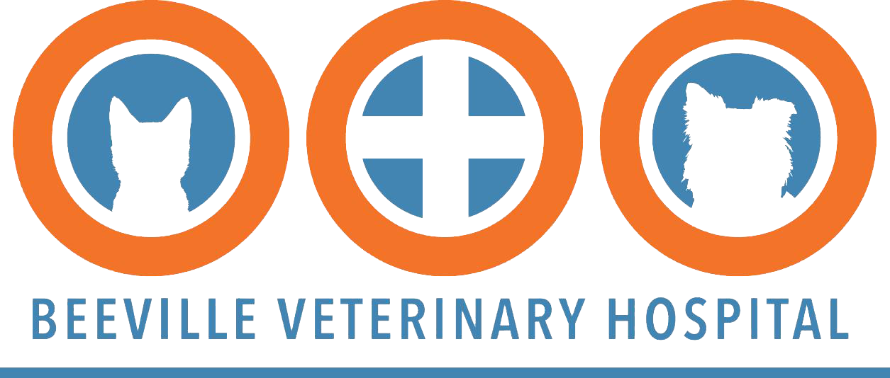 Beeville Veterinary Hospital